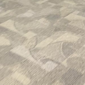 Meet your Posher, Reagan